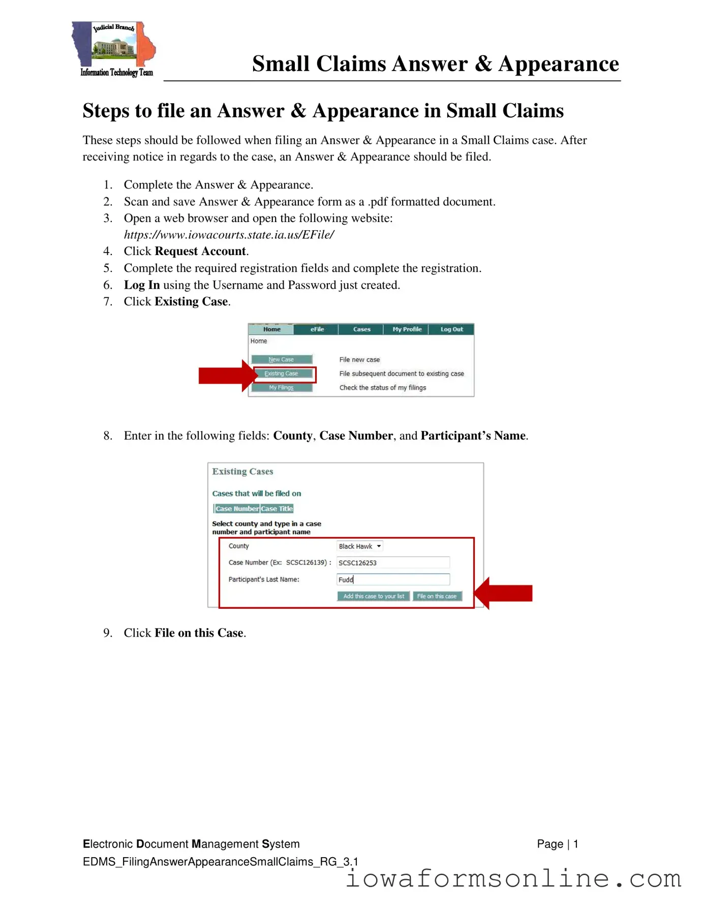 Fill a Valid Iowa Appearance and Answer Template
